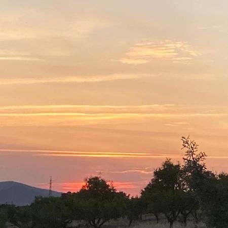 Finca El Atardecer-Luna Los Santos de Maimona Eksteriør bilde